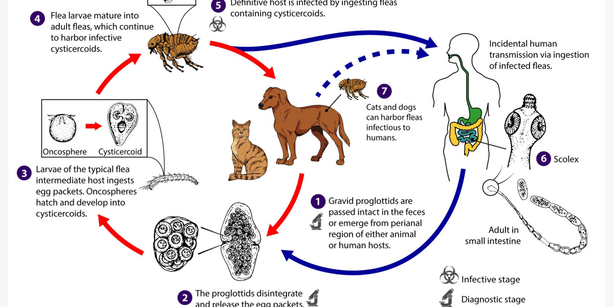 Comment savoir si votre animal de compagnie a des vers