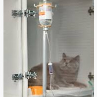 Les soins palliatifs