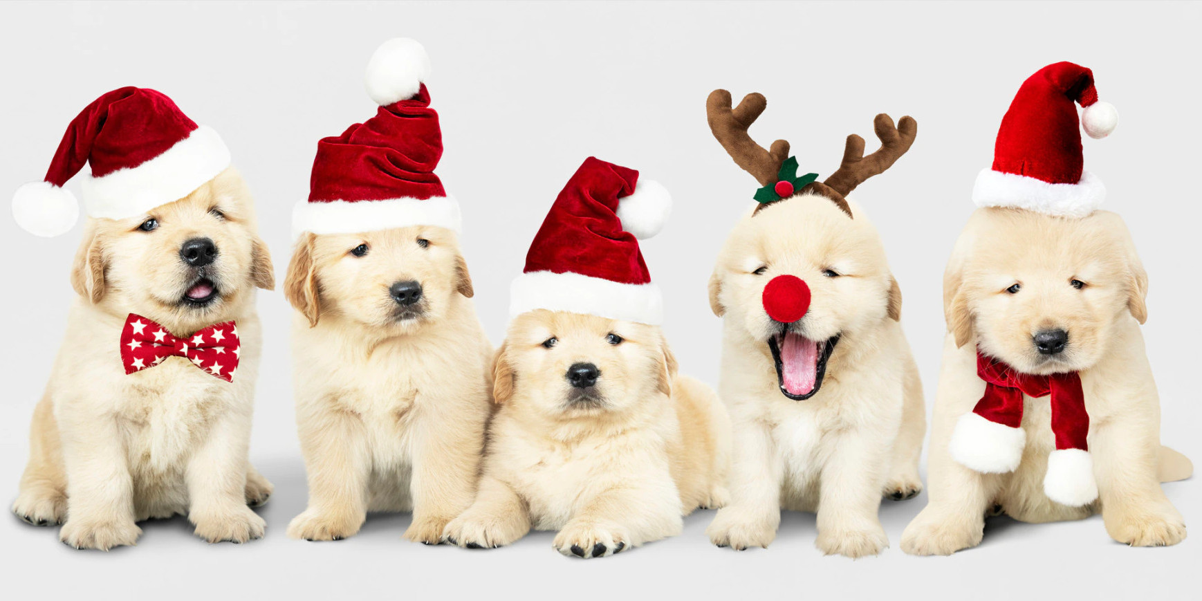 Les dangers de Noël et conseils anti-stress.