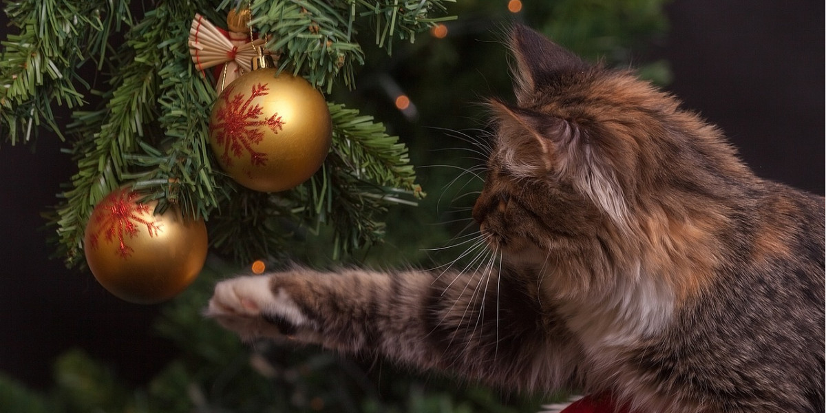 Bien vivre Noël avec son animal de compagnie