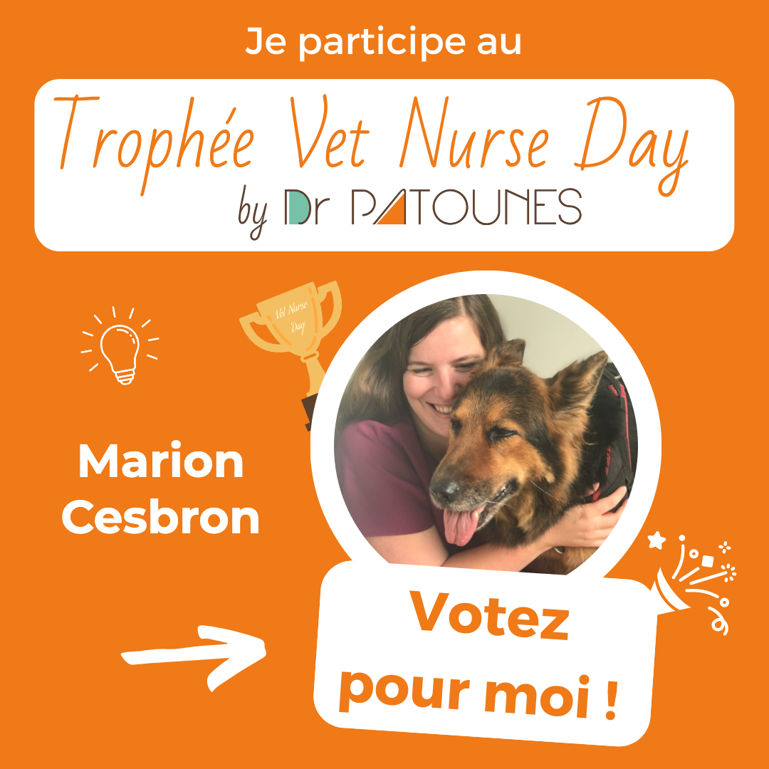 VOTEZ POUR L'INITIATIVE DE MARION pour le Trophée Vet Nurse Day !