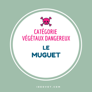 INFO INTOX  : LE MUGUET