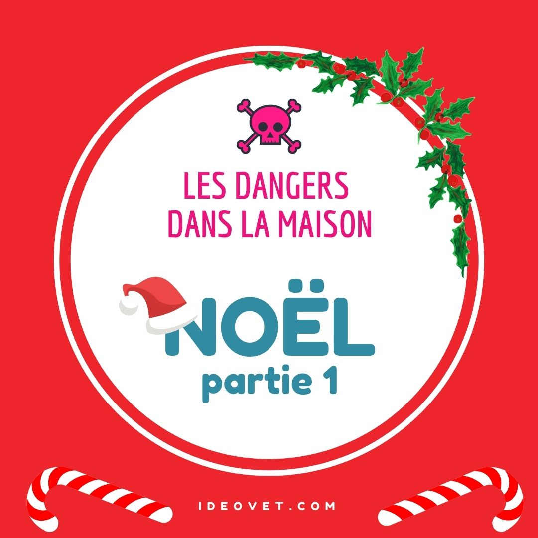 INFO INTOX : NOËL partie 1