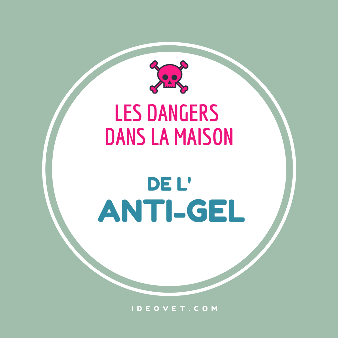 INFO INTOX : ANTI GEL