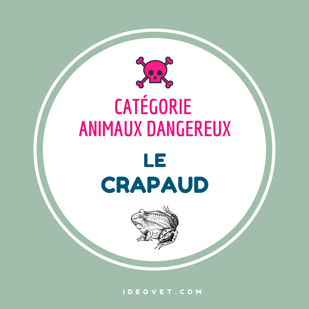 INFO INTOX : LE CRAPAUD