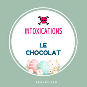 INFO INTOX : LE CHOCOLAT