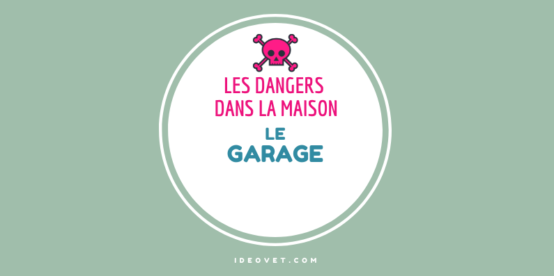 INFO INTOX : LE GARAGE