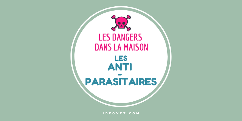 INFO INTOX : LES ANTI PARASITAIRES