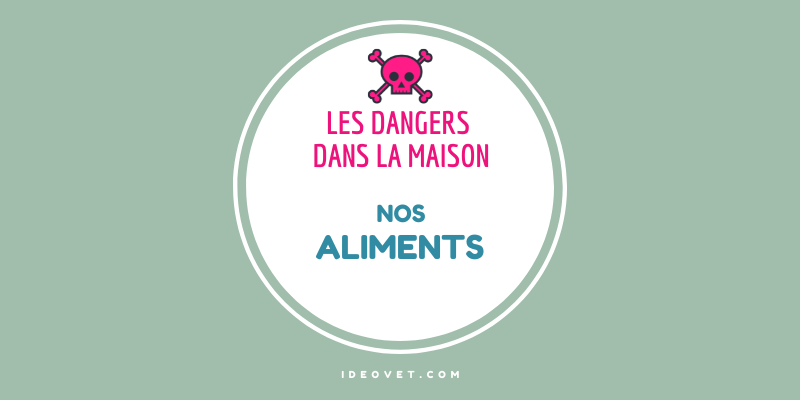 INFO INTOX : NOS ALIMENTS