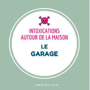 INFO INTOX : LE GARAGE