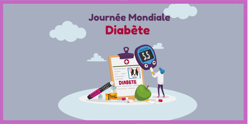 LE DIABETE CHEZ NOS ANIMAUX