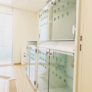 NOS BOX D'HOSPITALISATION A LA CLINIQUE IDEOVET