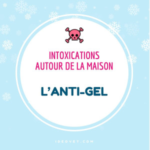 INFO INTOX : ANTIGEL
