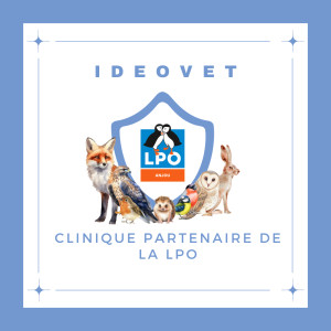 NOUS SOMMES CLINIQUE PARTENAIRE DE LA LPO ANJOU( Ligue de Protection des Oiseaux)