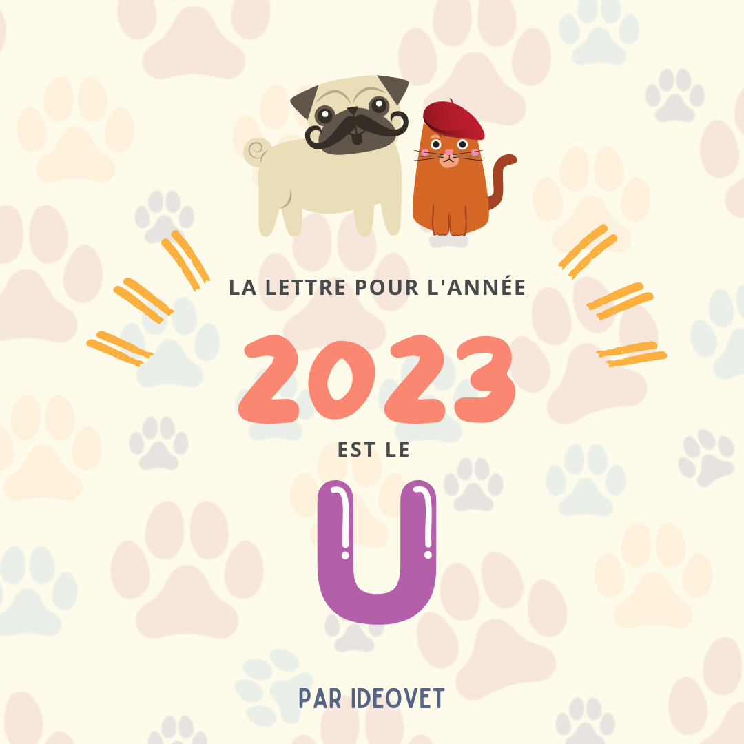 LES PRENOMS EN 2023 : Le "U"