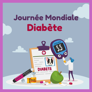 LE DIABETE CHEZ NOS ANIMAUX