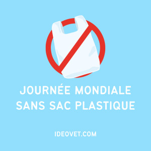JOURNEE SANS SACS PLASTIQUES