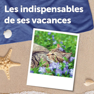 Préparer ses vacances