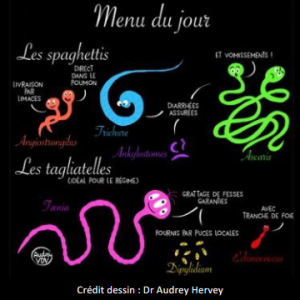 Comment savoir si mon animal de compagnie a des vers