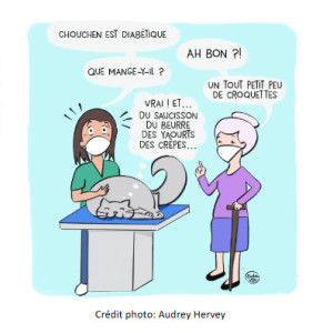 L'obésité chez le chat