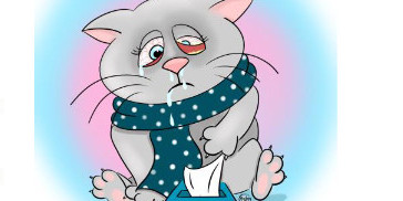 Le coryza du chat