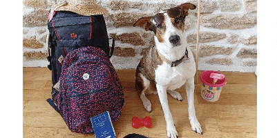 Les vacances avec mon animal de compagnie