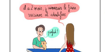 L'identification électronique des animaux de compagnie