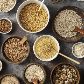 Idées reçues sur les céréales dans l'alimentation des chiens et des chats