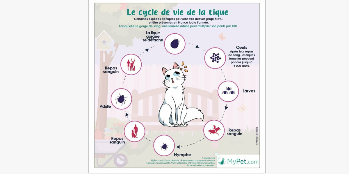 Le cycle de la tique