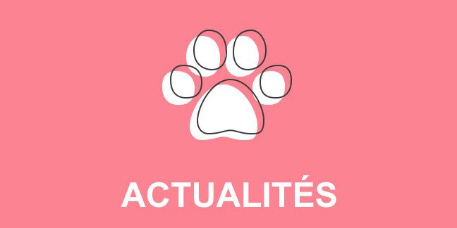 Semaine de l'identification