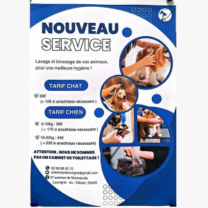 NOUVEAUTE