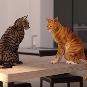 Votre chat souffre-t-il d'arthrose ?