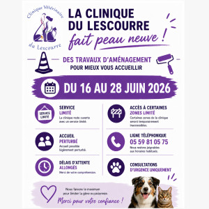 🚧🐾 La Clinique du Lescourre fait peau neuve ! 🐾🚧