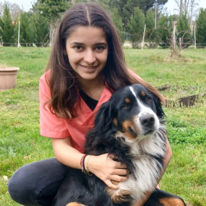 Chien qui ralentit en promenade : quand faut-il s’inquiéter ?