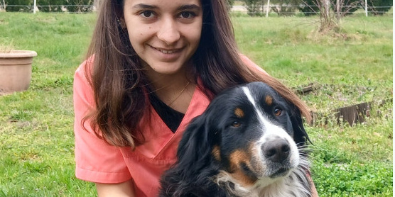 Chien qui ralentit en promenade : quand faut-il s’inquiéter ?