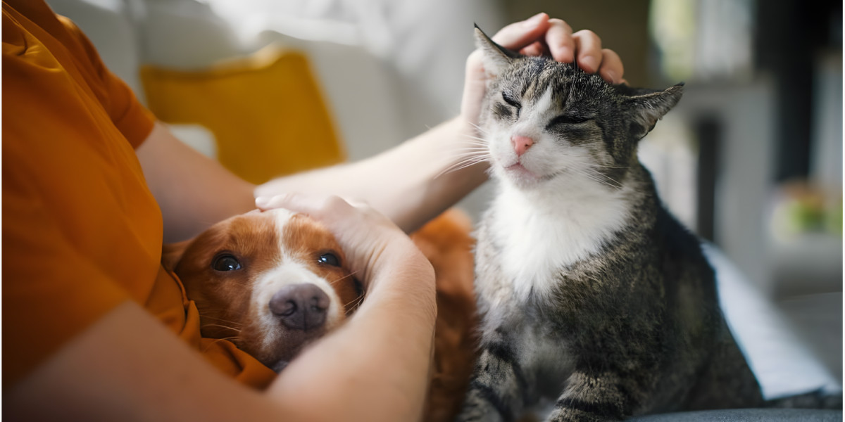 Pourquoi la santé animale se construit-elle au quotidien ?