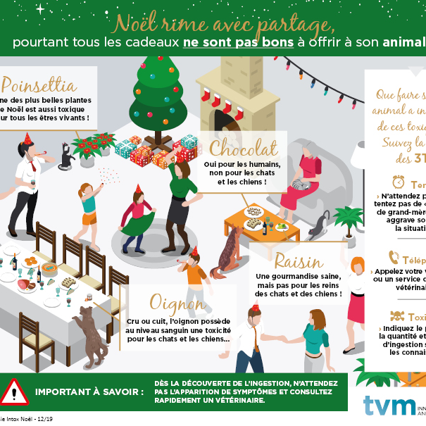 LES DANGERS DE NOËL