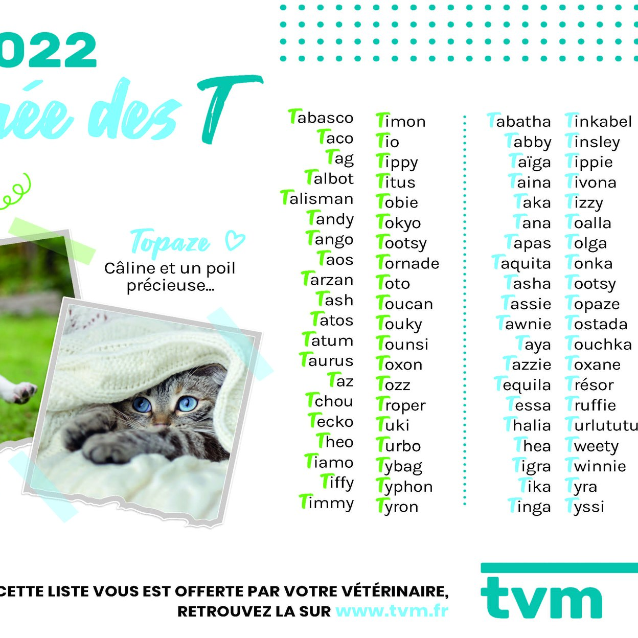 CETTE ANNÉE C'EST L'ANNÉE DES "T"