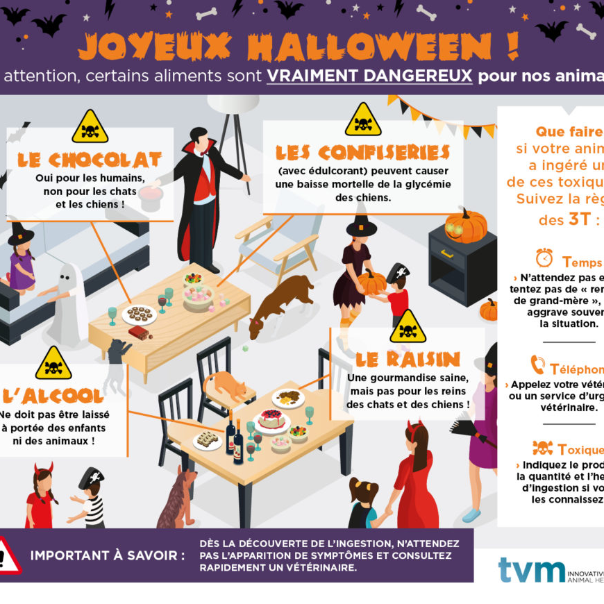 LES DANGERS D'HALLOWEEN