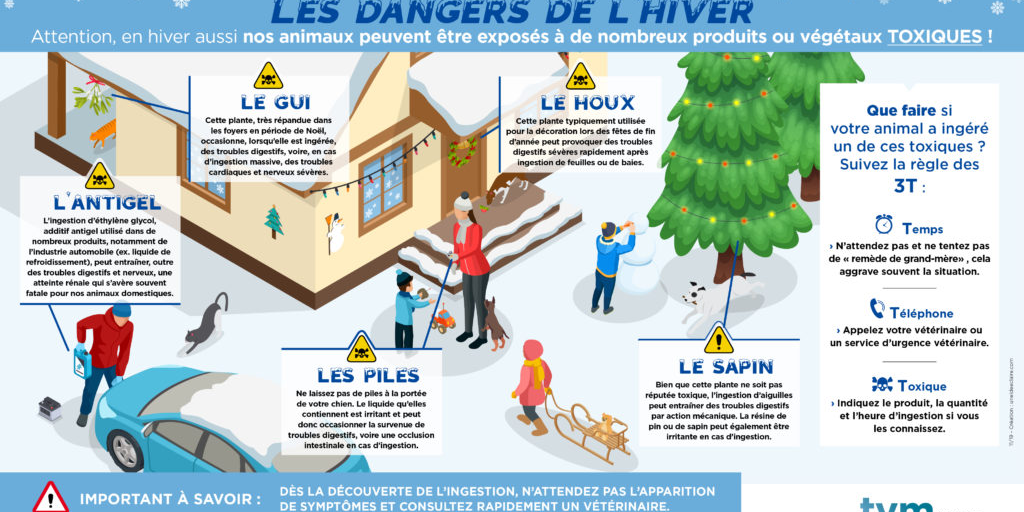 LES DANGERS DE L'HIVER