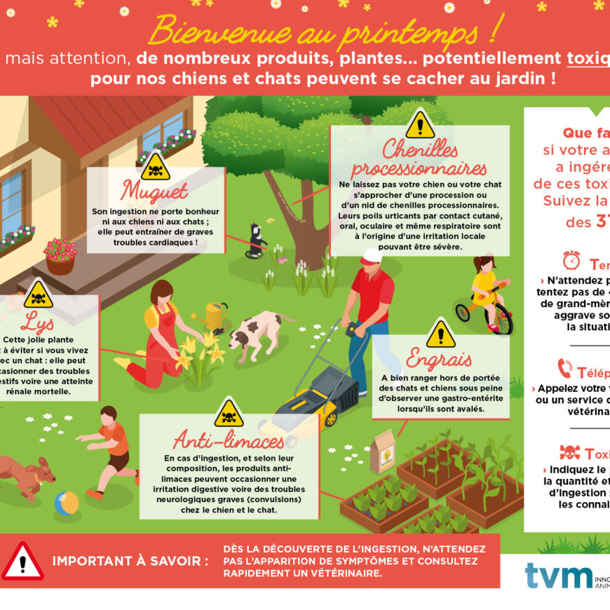 LES DANGERS DU PRIMTEMPS
