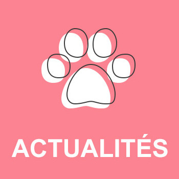 A-t-on trop d'animaux de compagnie ?