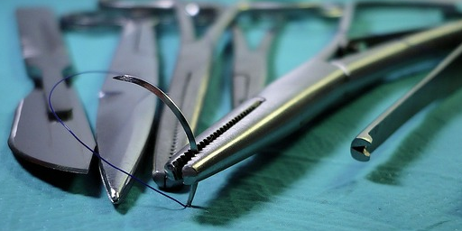 Castration du chien