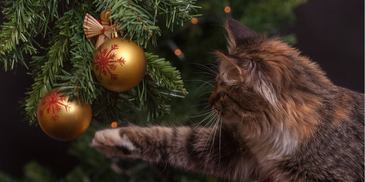 Bien vivre Noël avec son animal de compagnie