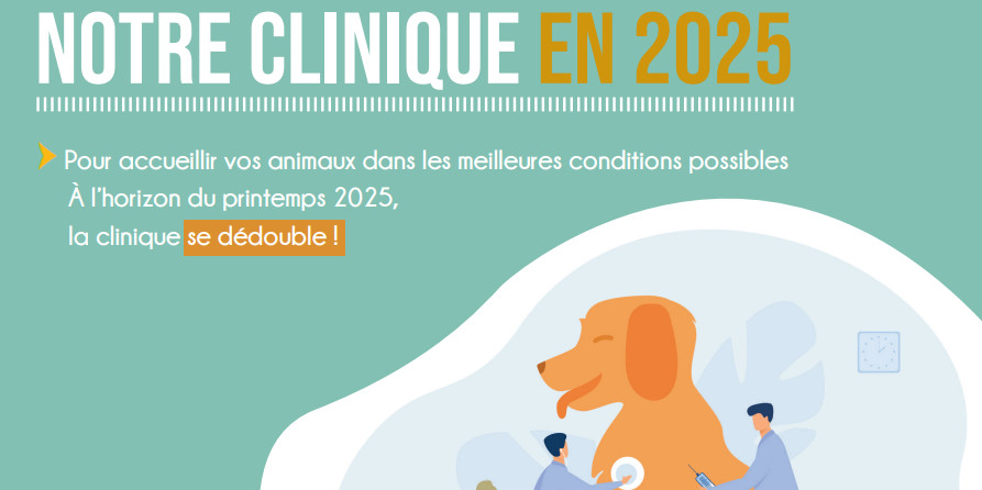 GRANDE NOUVELLE POUR LE PRINTEMPS 2025 !