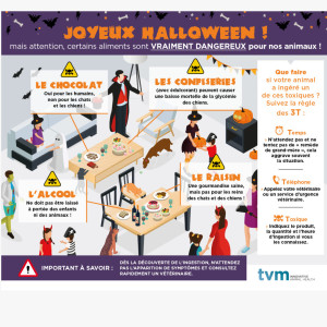Bientôt HALLOWEEN...!