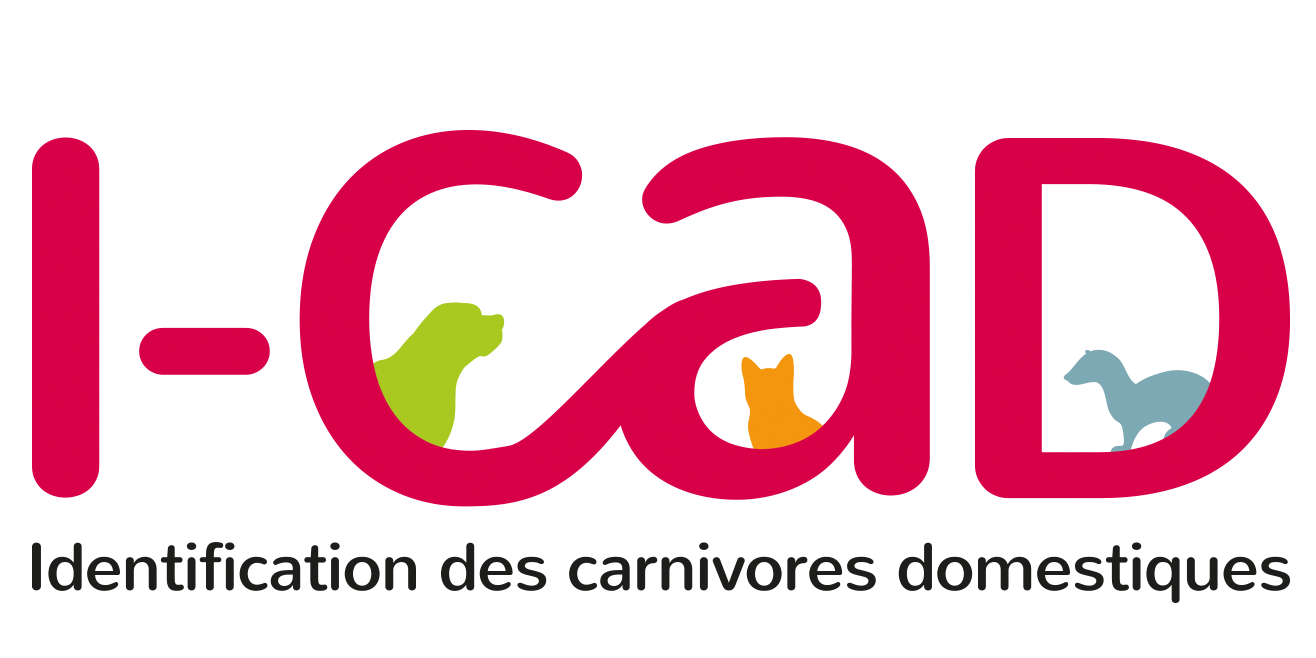 📑Tout savoir sur l'identification des animaux de compagnie