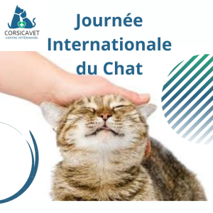 Journée Internationale du Chat