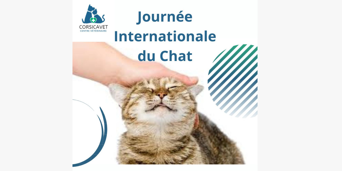Journée Internationale du Chat