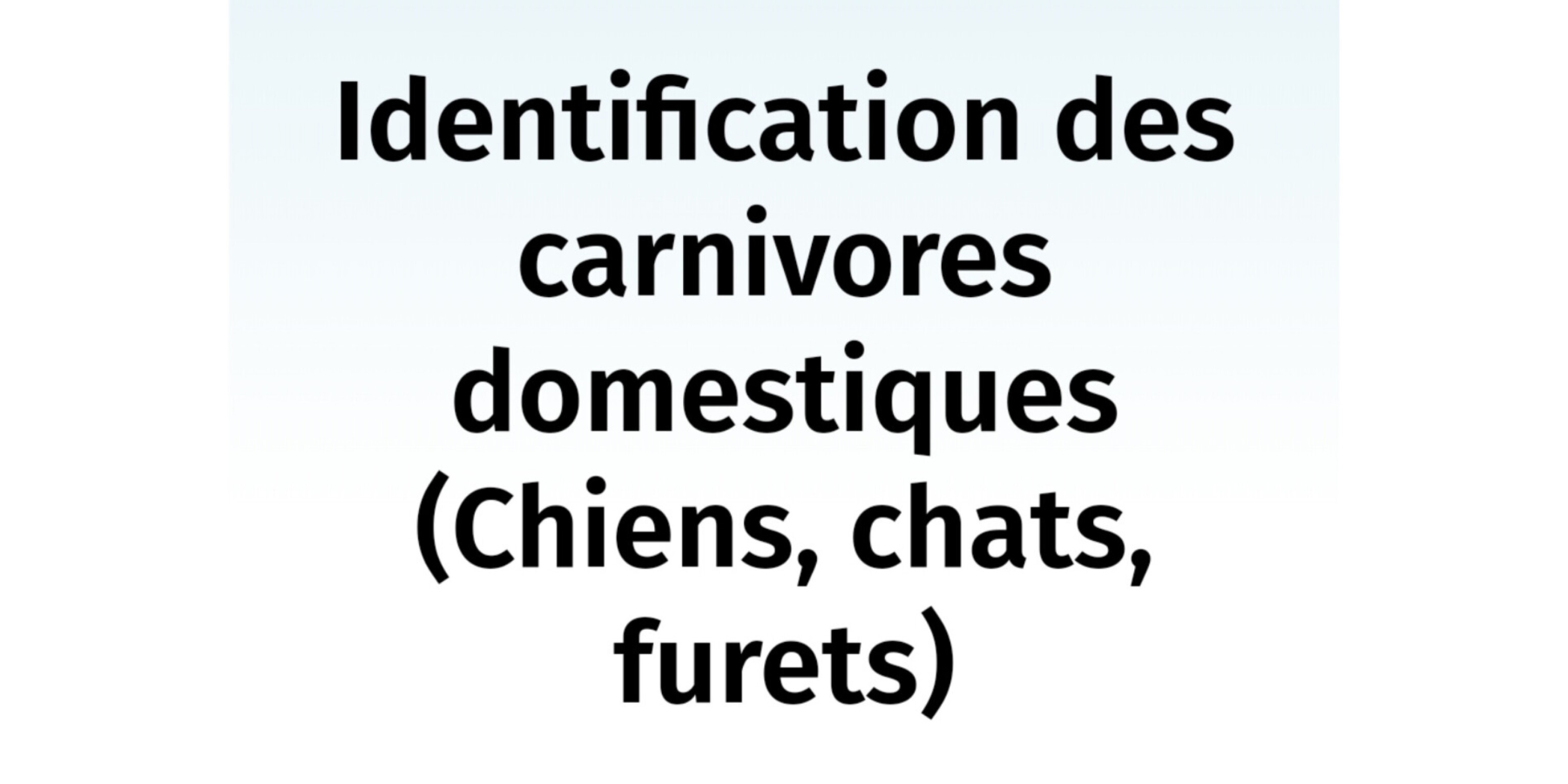 IDENTIFICATION DES CARNIVORES DOMESTIQUES : CHIENS, CHATS, FURETS.